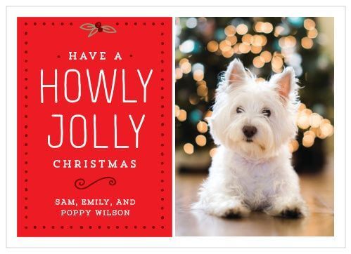 bright red Christmas photo card featuring a small, cute white dog in front of a christmas tree 
